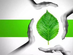 必看 實現磚廠企業達標排放 金瑞特環保科技