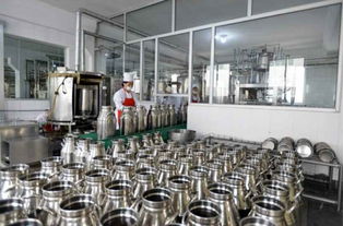 金正恩視察平壤兒童食品廠，鼓勵打造世界領先工廠